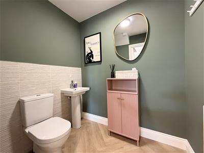 Picture 11